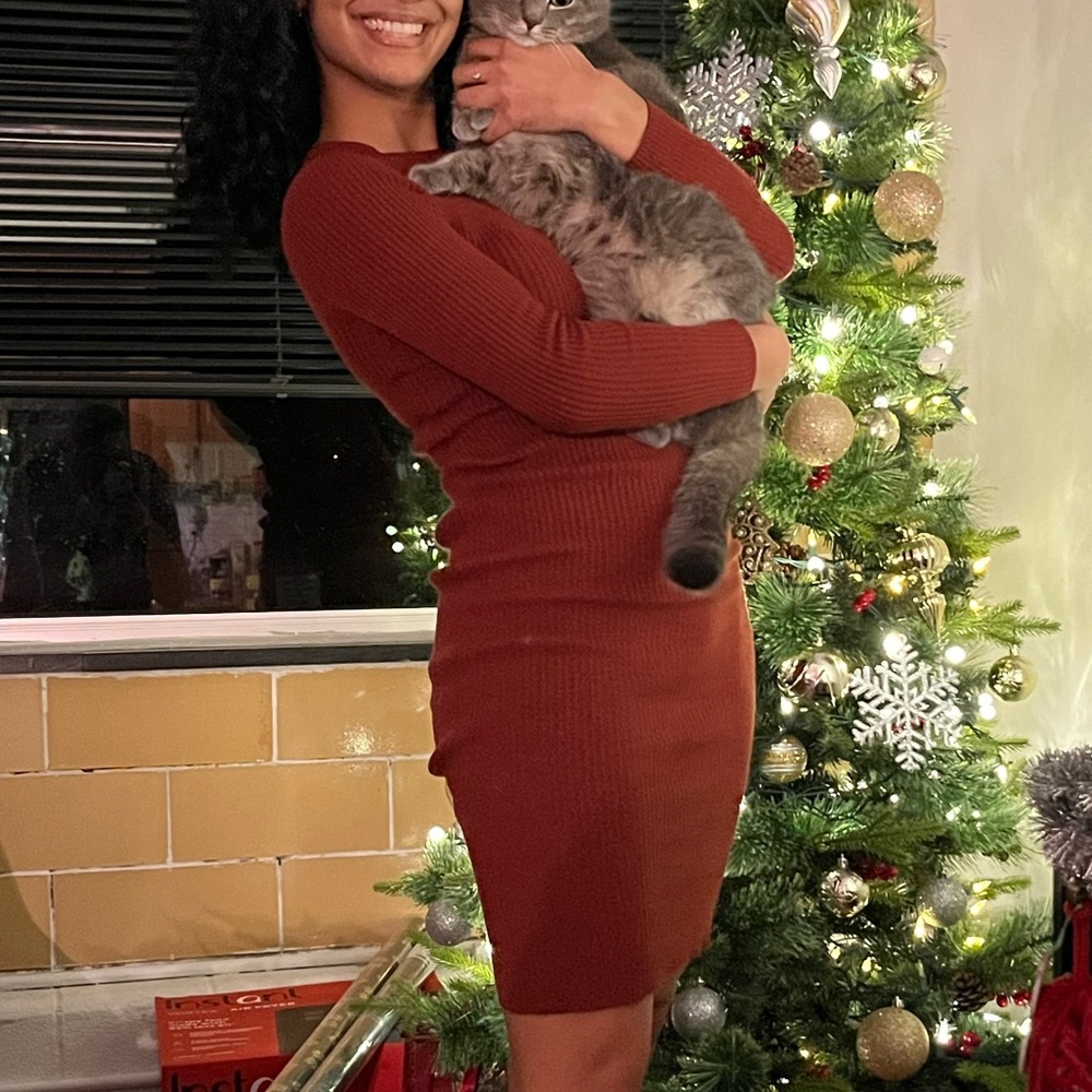 Nine West Ribbed Sweater Bodycon Midi Dress